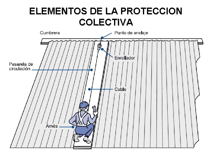 ELEMENTOS DE LA PROTECCION COLECTIVA 