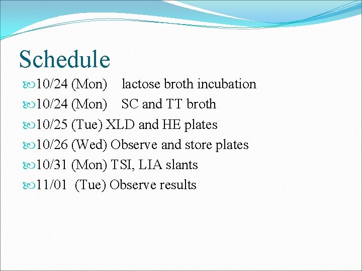 Schedule 10/24 (Mon) lactose broth incubation 10/24 (Mon) SC and TT broth 10/25 (Tue)
