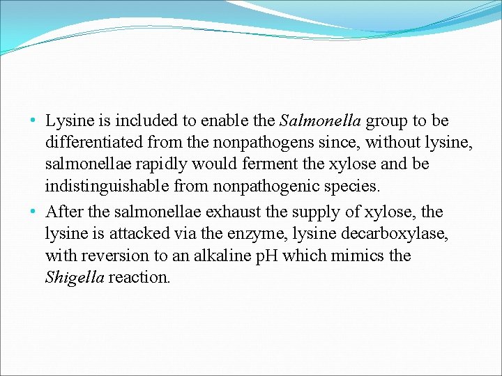  • Lysine is included to enable the Salmonella group to be differentiated from