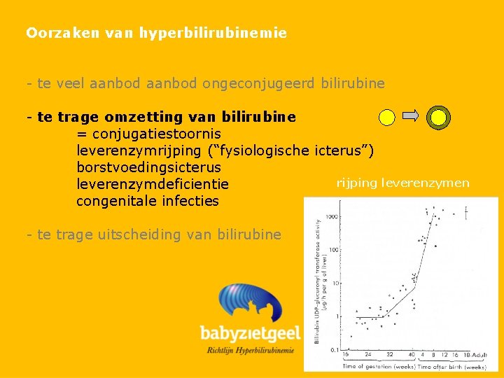 Oorzaken van hyperbilirubinemie - te veel aanbod ongeconjugeerd bilirubine - te trage omzetting van