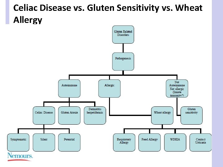 Celiac Disease vs. Gluten Sensitivity vs. Wheat Allergy 