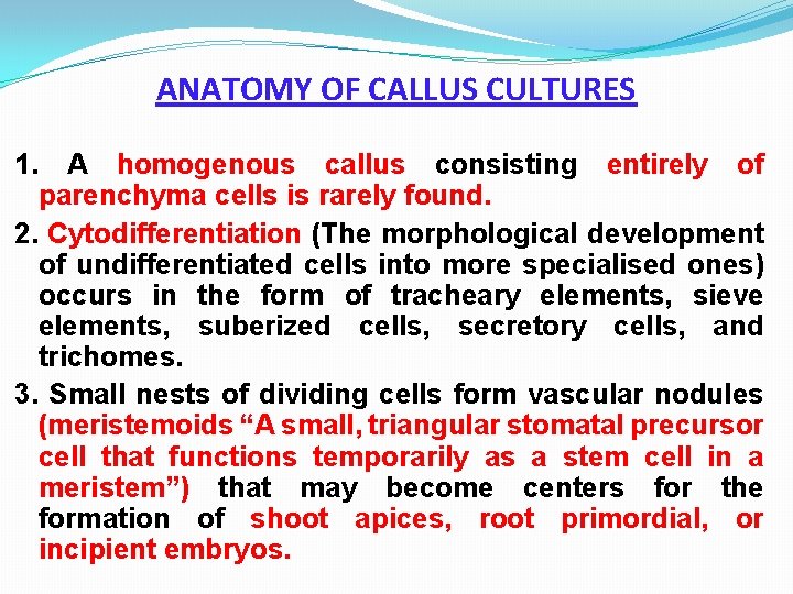 ANATOMY OF CALLUS CULTURES 1. A homogenous callus consisting entirely of parenchyma cells is