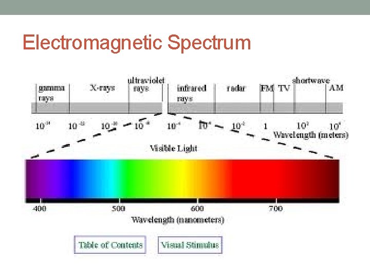 Electromagnetic Spectrum 