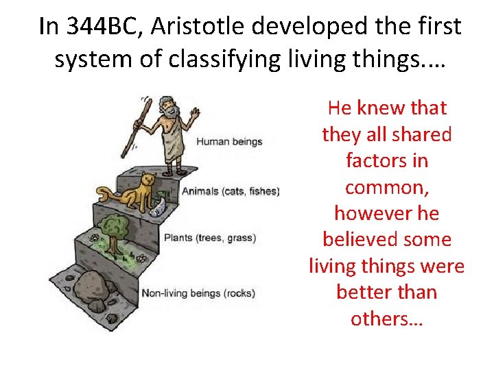 In 344 BC, Aristotle developed the first system of classifying living things. … He