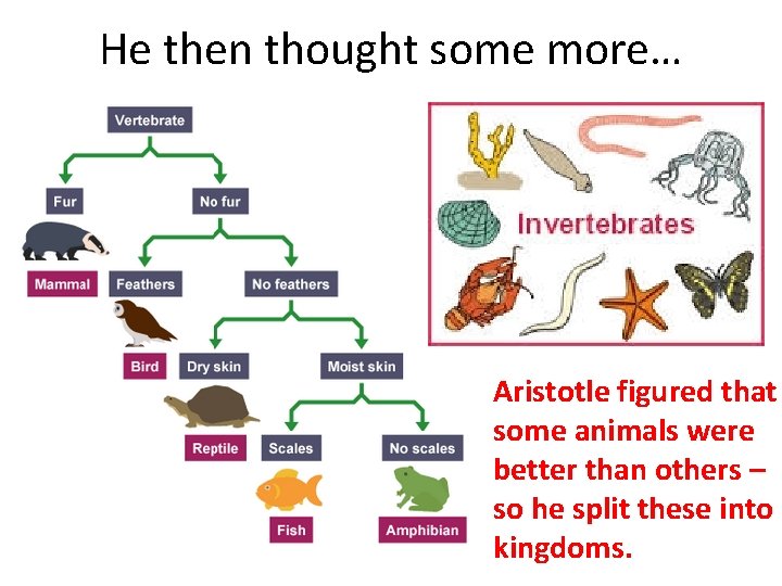He then thought some more… Aristotle figured that some animals were better than others