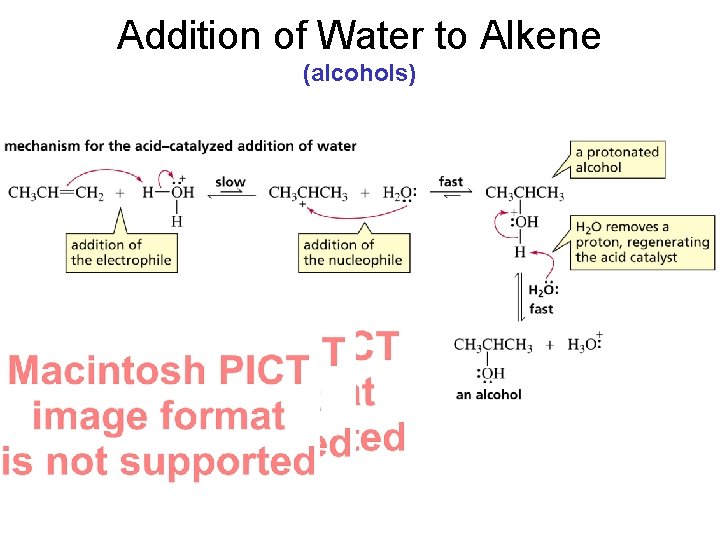 Addition of Water to Alkene (alcohols) 