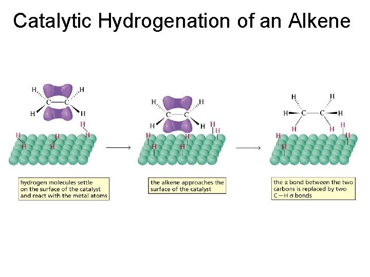 Catalytic Hydrogenation of an Alkene 