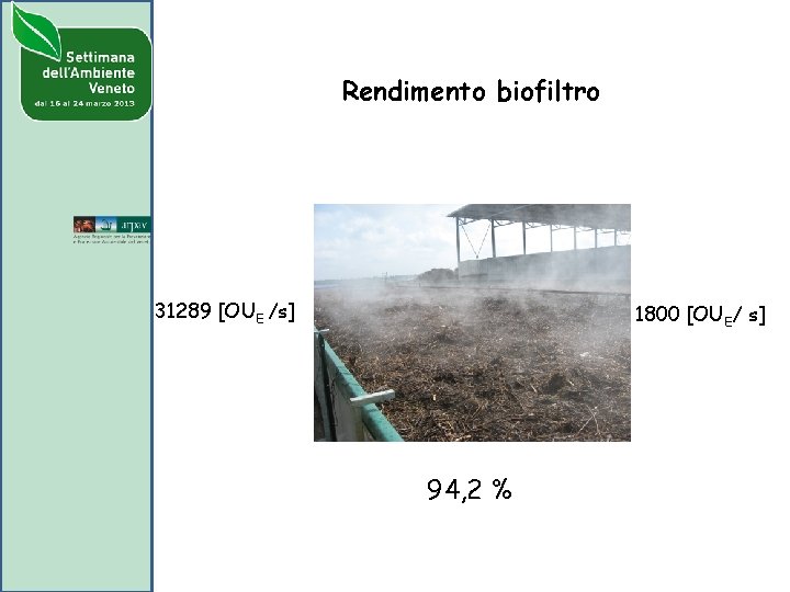 Rendimento biofiltro 31289 [OUE /s] 1800 [OUE/ s] 94, 2 % 