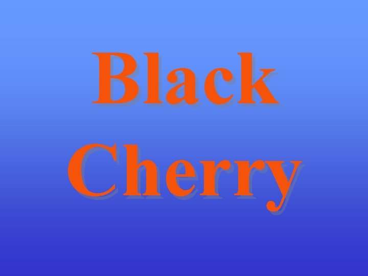 Black Cherry 