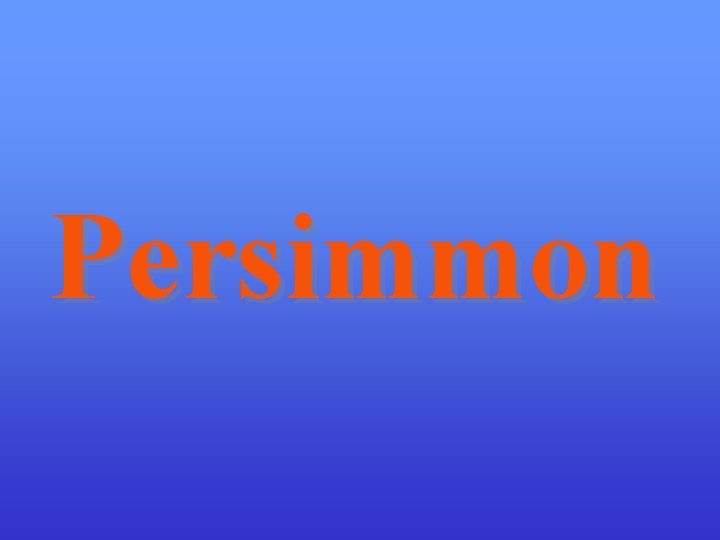 Persimmon 