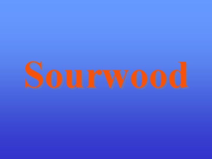 Sourwood 