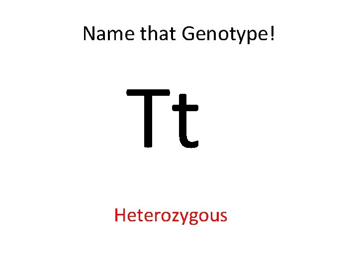 Name that Genotype! Tt Heterozygous 