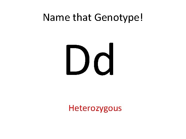 Name that Genotype! Dd Heterozygous 