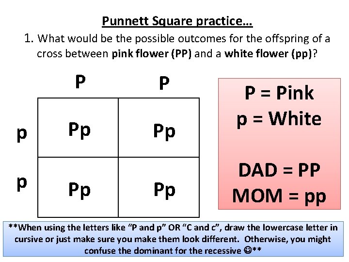 Punnett Square practice… 1. What would be the possible outcomes for the offspring of