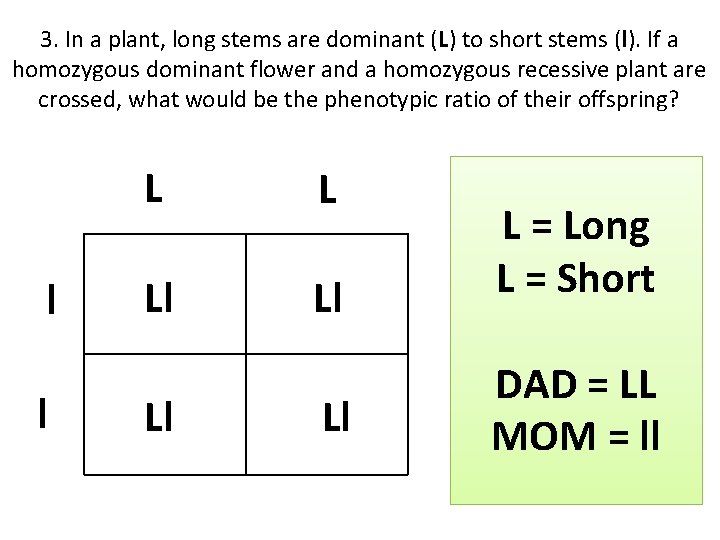 3. In a plant, long stems are dominant (L) to short stems (l). If