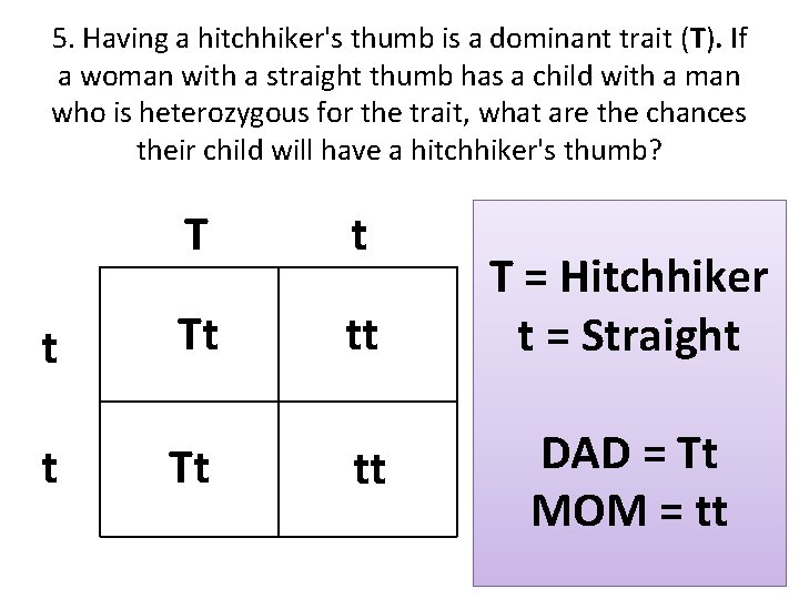 5. Having a hitchhiker's thumb is a dominant trait (T). If a woman with