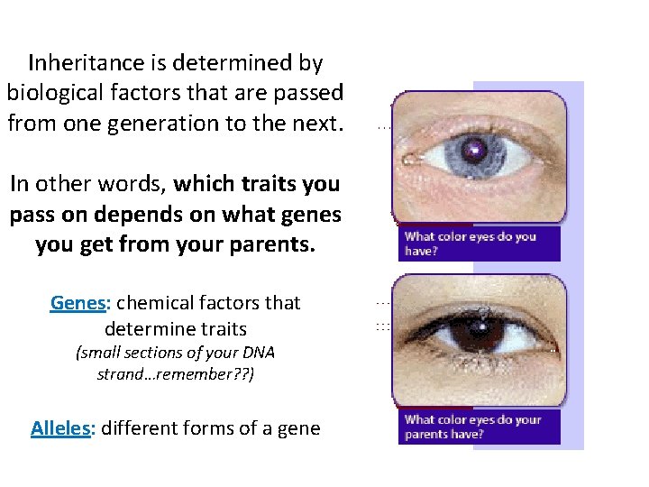 Inheritance is determined by biological factors that are passed from one generation to the