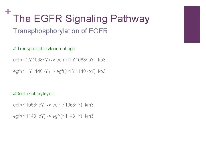 + The EGFR Signaling Pathway Transphorylation of EGFR # Transphorylation of egfr(r!1, Y 1068~Y)