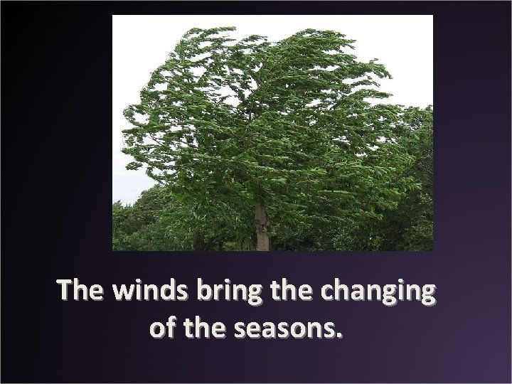 The winds bring the changing of the seasons. 