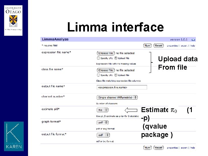 Limma interface Upload data From file Estimates -p) (qvalue package ) (1 