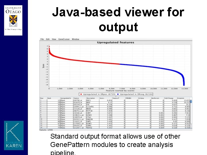Java-based viewer for output Standard output format allows use of other Gene. Pattern modules