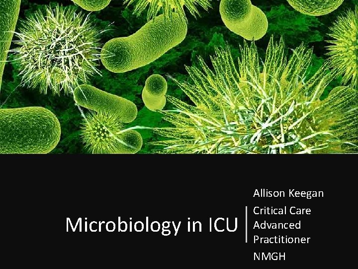 Microbiology in ICU Allison Keegan Critical Care Advanced Practitioner NMGH 