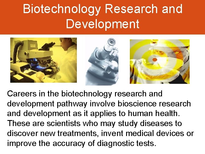Biotechnology Research and Development Careers in the biotechnology research and development pathway involve bioscience