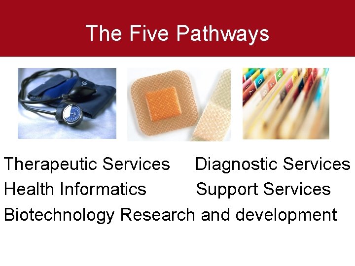 The Five Pathways Therapeutic Services Diagnostic Services Health Informatics Support Services Biotechnology Research and