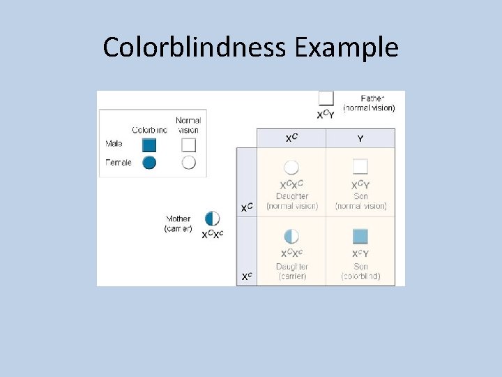 Colorblindness Example 