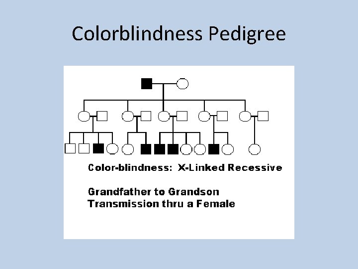 Colorblindness Pedigree 