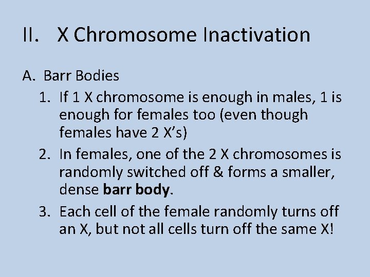 II. X Chromosome Inactivation A. Barr Bodies 1. If 1 X chromosome is enough