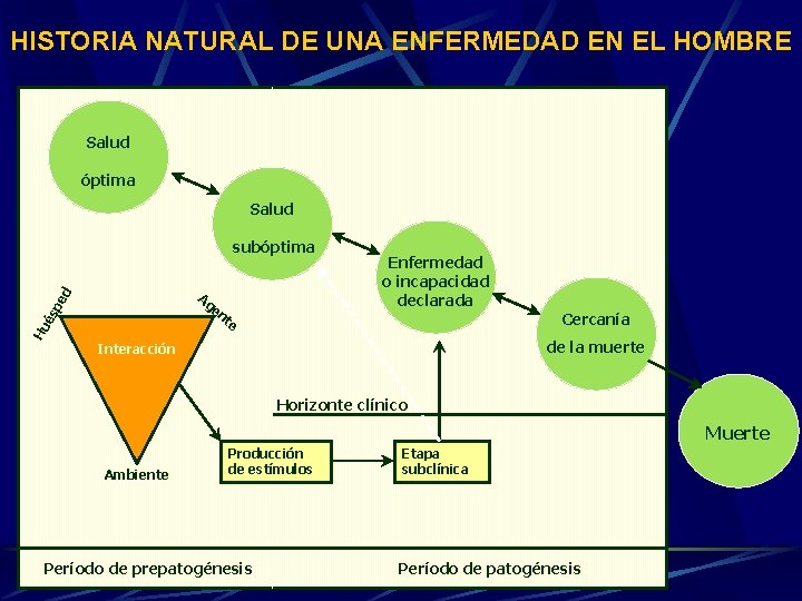 HISTORIA NATURAL DE UNA ENFERMEDAD EN EL HOMBRE Salud óptima Salud subóptima ed Ag