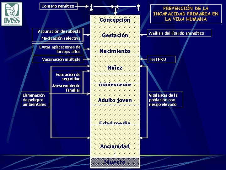 Consejo genético Concepción Vacunación de rubéola Medicación selectiva Evitar aplicaciones de fórceps altos Gestación