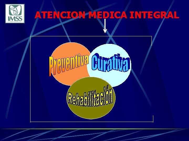 ATENCION MEDICA INTEGRAL 