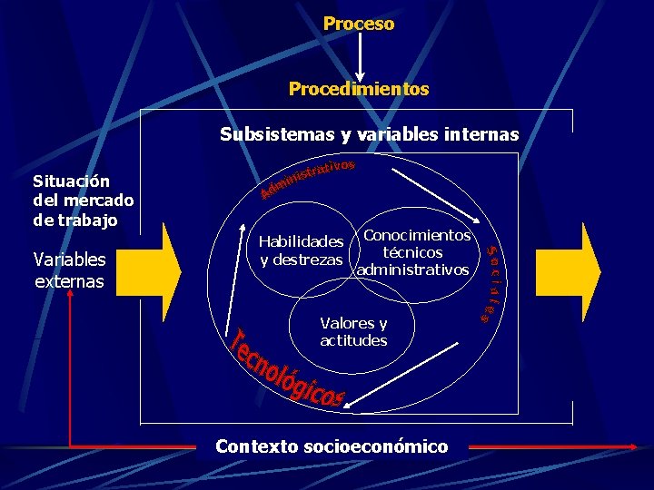 Proceso Procedimientos Subsistemas y variables internas Situación del mercado de trabajo Variables externas Habilidades