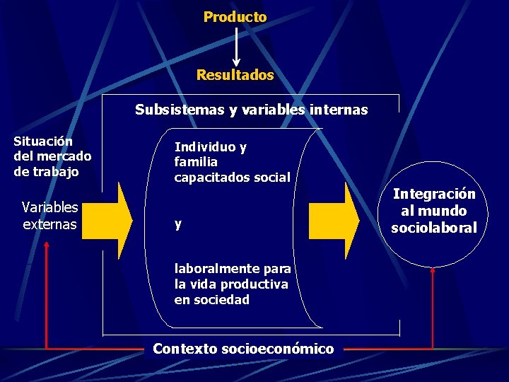 Producto Resultados Subsistemas y variables internas Situación del mercado de trabajo Variables externas Individuo