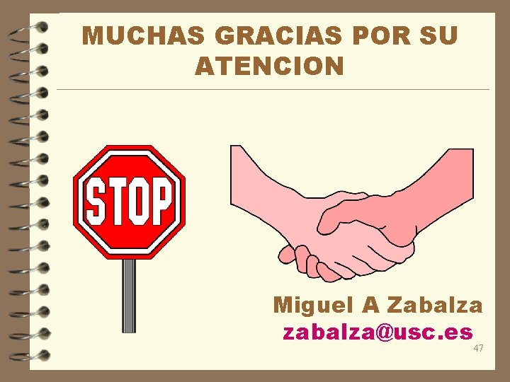 MUCHAS GRACIAS POR SU ATENCION Miguel A Zabalza zabalza@usc. es 47 