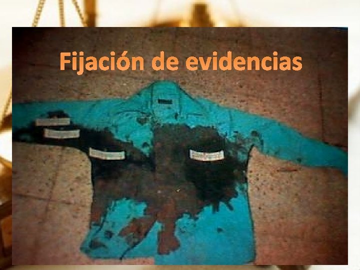 Fijación de evidencias 