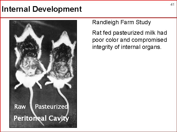41 Internal Development Randleigh Farm Study Rat fed pasteurized milk had poor color and