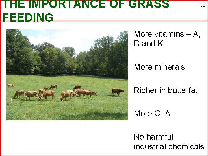 THE IMPORTANCE OF GRASS FEEDING 78 More vitamins – A, D and K More