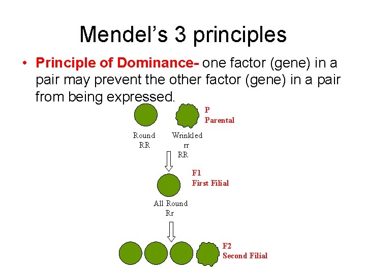Mendel’s 3 principles • Principle of Dominance- one factor (gene) in a pair may