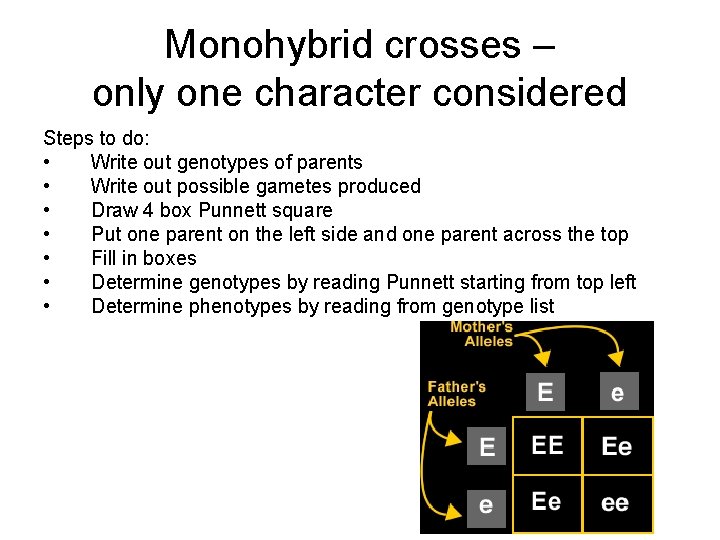 Monohybrid crosses – only one character considered Steps to do: • Write out genotypes