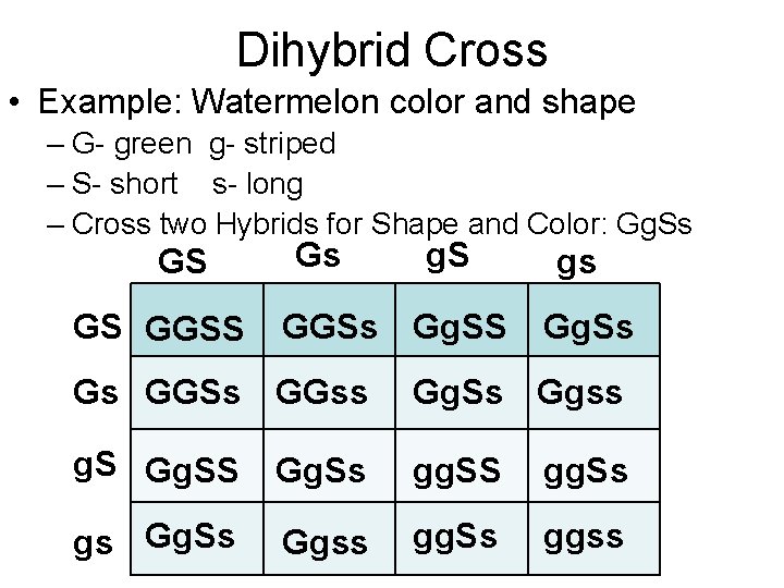 Dihybrid Cross • Example: Watermelon color and shape – G- green g- striped –