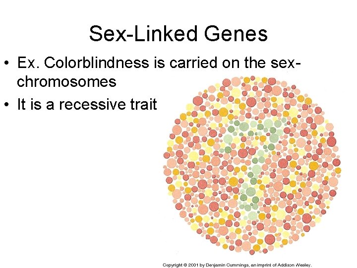 Sex-Linked Genes • Ex. Colorblindness is carried on the sexchromosomes • It is a