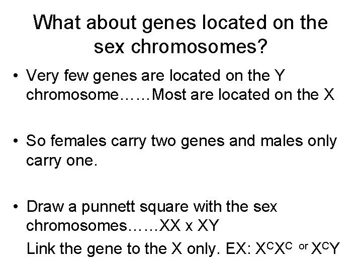 What about genes located on the sex chromosomes? • Very few genes are located