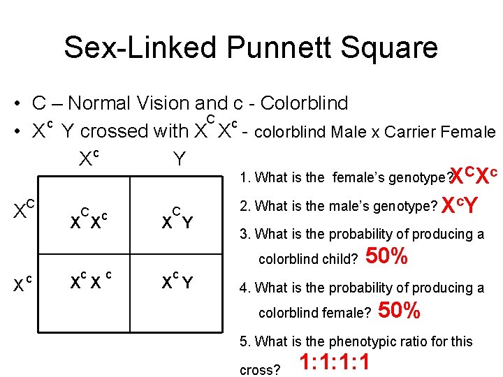 Sex-Linked Punnett Square • C – Normal Vision and c - Colorblind C c