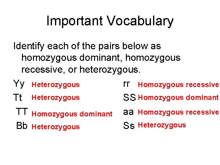 Important Vocabulary Identify each of the pairs below as homozygous dominant, homozygous recessive, or