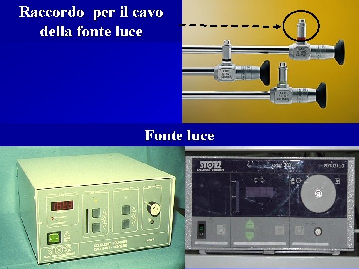 Raccordo per il cavo della fonte luce Fonte luce 