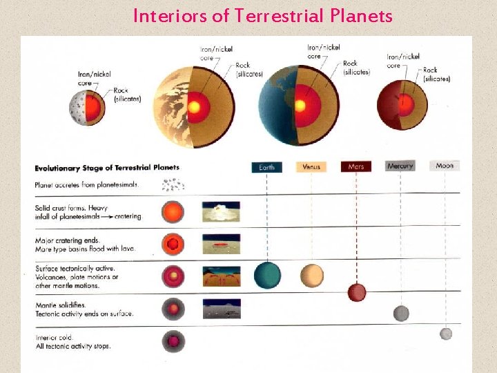 Interiors of Terrestrial Planets 