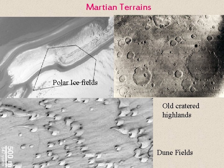 Martian Terrains Polar Ice fields Old cratered highlands Dune Fields 